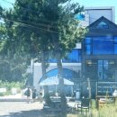 욜로하 스테이 이미지