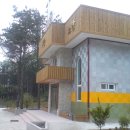 푸른초장 이미지