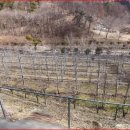 한철농장 이미지