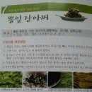 뽕잎 짱아찌 만드는 법 이미지