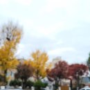 영덕읍사무소 입구 이미지