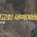 영성일기 2026.08.18.(화) 새벽기도회 (찬송)526장 목마른 자들아(성경)사 55:1-3 질그릇 속의 물 이미지