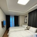 팰릭스바이에스티엑스 이미지