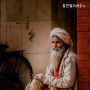 동천일리하우스