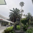 신동아 | 제주] 신동아 렌터카, 제주 렌트카 업체 추천 (협찬 아님/ 내돈내산), 제주공항 픽업, 가격
