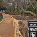 판교로228번길 이미지