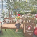 자석농장 | 경기 김포 앙팡딸기체험농장 겨울 실내 아이와 가볼 만한 곳 추천