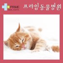 구리동물병원 이미지