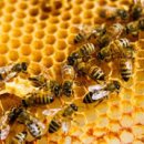 화분인간 이미지