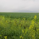 우성농장 이미지