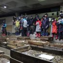 바다먹거리