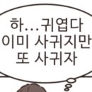 딱스 이미지