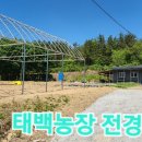능성동농장 Daum카페