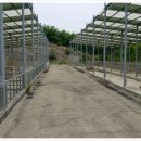 예천목장 이미지