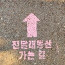 부천시 견인차량보관소 | [축제]부천 원미산 진달래축제