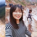 라즈 여행사