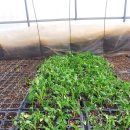 영환농장 이미지