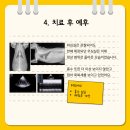 오디세이 동물심장내과 이미지