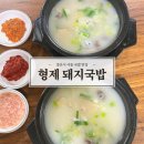 사동돼지국밥 | [경산] 경산 사동 맛집 골목 국밥 '형제 돼지국밥'