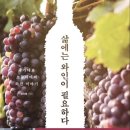 동안백신