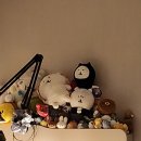 뽑기어때 Daum카페