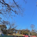 달빛자락 이미지