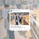 늘솔길근린공원양떼목장 이미지