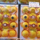 배동문농장 이미지