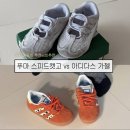 아기신발 솔직후기 | 푸마키즈 스피드캣고 vs 아디다스키즈 가젤