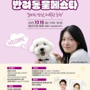 성남 이미지