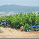 동진농장 이미지