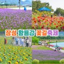 다향이십리길 보성강변 | 5월 꽃구경 전남 장성 가볼만한곳 황룡강 길동무 꽃길축제 기본정보 가수 라인업