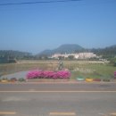 과역초등학교 이미지