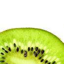 키위모텔 이미지