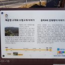 용미3리 | 의주길 제2길 고양관청길 (벽제관지 ~ 용미3리)...