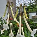 (주)온들에 이미지