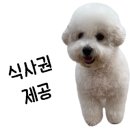 둥이식당 이미지