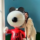 괴정동물병원 | 2025년 12월 일상 | 부산트리명소, 기장대게맛집, 부산 오션뷰 숙소, 부산스시오마카세