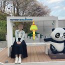 남산가는길(야경)코스 | [서울] 남산 데이트 코스 추천🌙 케이블카+야경+자물쇠까지 하루 코스