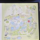 소나무 숲 리조트 | 화담숲 11월 단풍 절정 후기(feat. 곤지암 리조트)