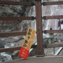 미인열차 이미지