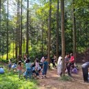 숲속자연유치원 이미지