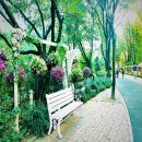 대공원나들길 이미지