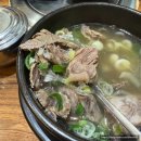 충주한우프라자 | 충주 갈비탕 맛집 한우프라자 현지인 추천