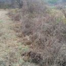 2022-주185 이미지