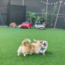 파주힐링몽 이미지