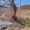 강림면344 이미지