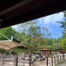 책 놀이터 나들이 | 울산대공원 생태관·동물원·놀이터까지! 주말 가족 나들이 후기 🌳