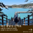 CU 성산책길희망점 | 태안 만리포 여행코스 추천 바다 위 산책로 뭍닭섬 데크길 가는 법