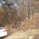 홍천강변 이미지